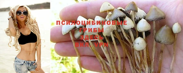 соль ск Волоколамск