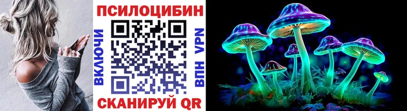 Псилоцибиновые грибы мухоморы  кракен ССЫЛКА  Череповец  где найти наркотики 